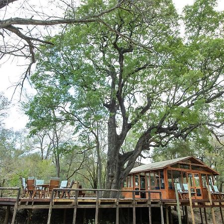 Ndzhaka Tented Camp 마니엘레티 게임 리저브 외부 사진