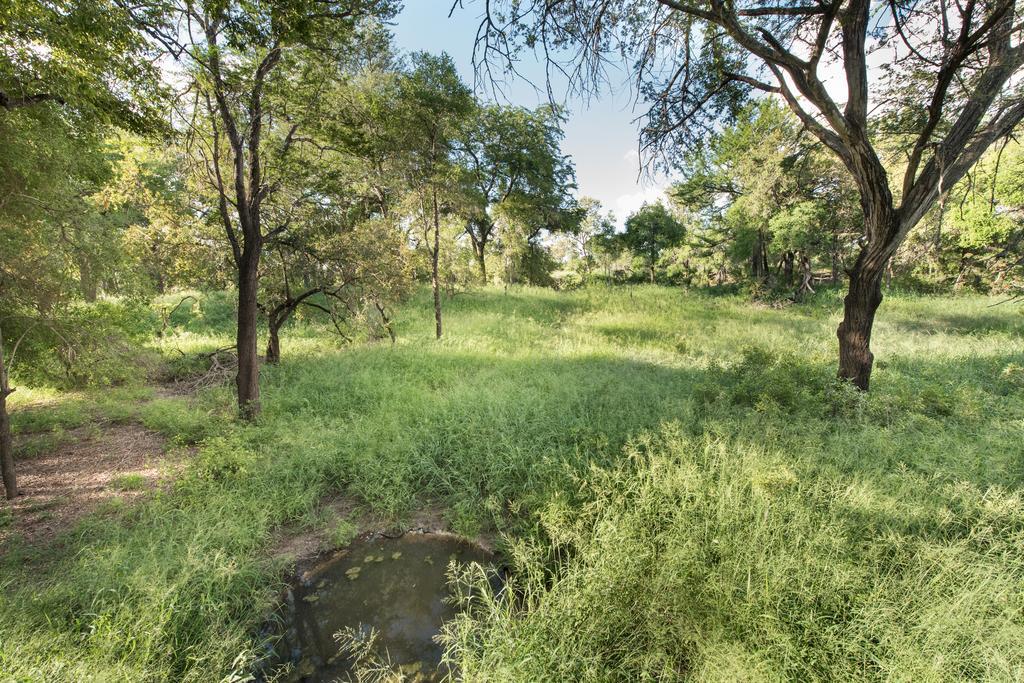 Ndzhaka Tented Camp 마니엘레티 게임 리저브 외부 사진