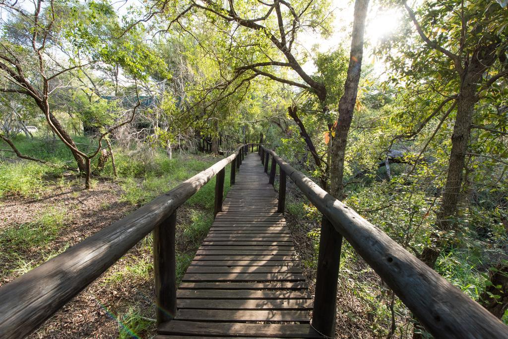 Ndzhaka Tented Camp 마니엘레티 게임 리저브 외부 사진