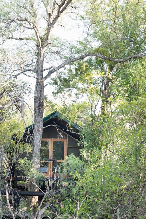 Ndzhaka Tented Camp 마니엘레티 게임 리저브 외부 사진